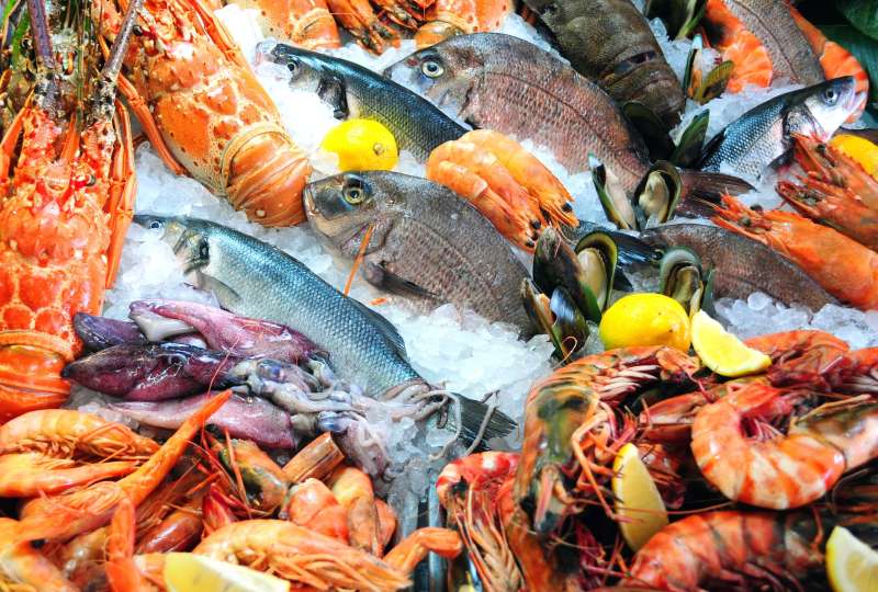 أسعار الأسماك اليوم الأحد 16-6-2024 في الأسواق