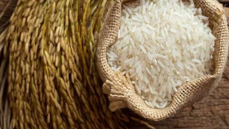 سعر الأرز الشعير