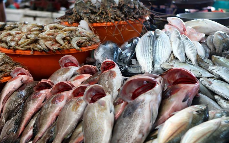انخفاض أسعار الأسماك اليوم الجمعة 21-6-2024