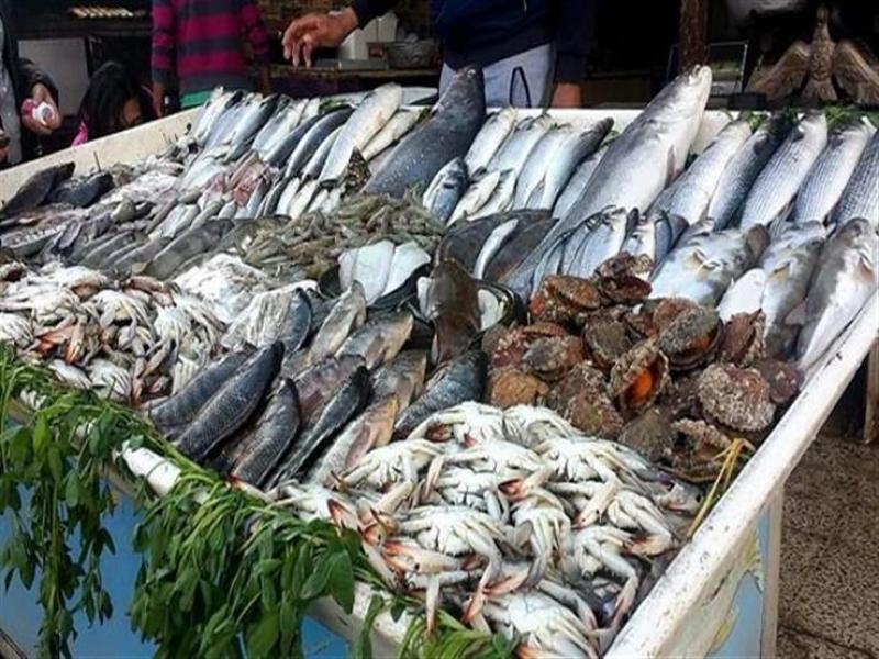 أسعار الأسماك اليوم 