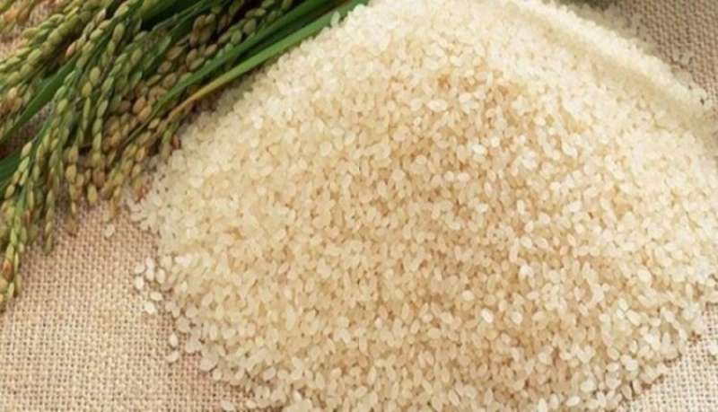 سعر الأرز الشعير اليوم الأربعاء 26 يونيو 2024 في مصر