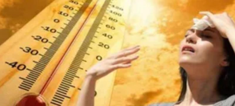 شديد الحرارة نهارًا .. حالة الطقس في مصر   غدًا الخميس 4 يوليو  2024