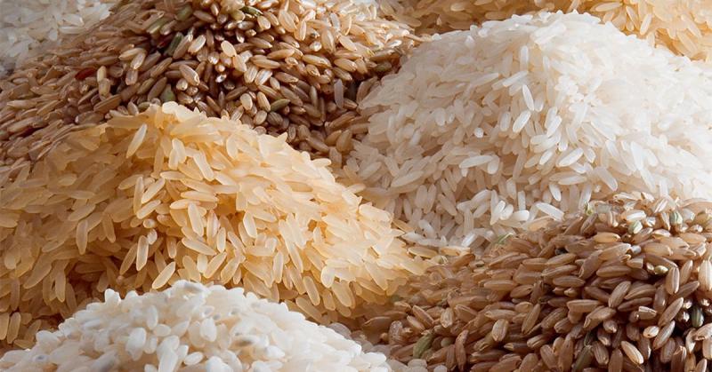 كيلو الأرز وصل لكام.. سعر الأرز الشعير اليوم