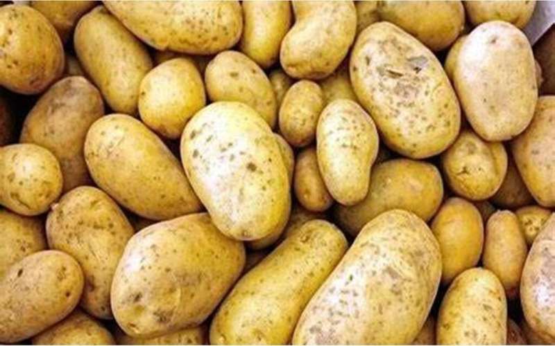 قفزة كبيرة في أسعار البطاطس وشعبة الخضروات تحذر من أزمة قريبة