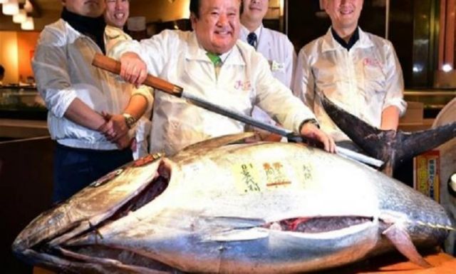 مطعم ياباني يبيع جرام السوشي بـ70 ألف ين بسبب شراءه لسمكة تونة بـ 117 ألف دولار