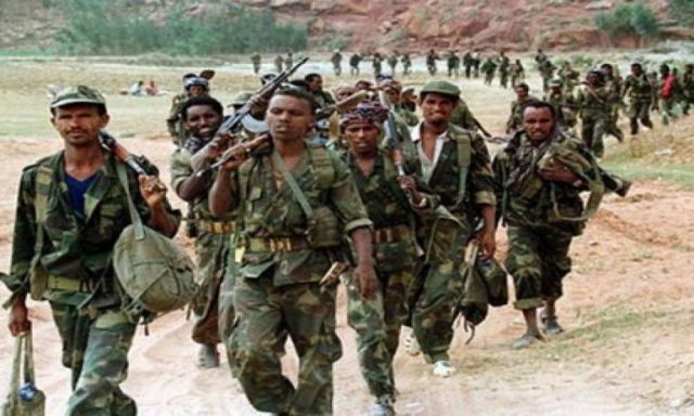 الجيش السوداني يعلن سيطرته على منطقة “جبل مرة” بدارفور