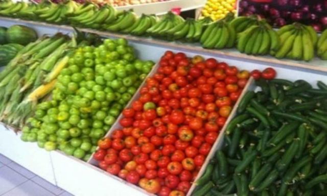 وزارة الزراعة :  مليون دولار صادرات الخضر والفاكهة خلال 3 أشهر
