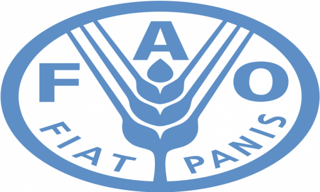 ”الفاو”: مصر يمكنها خفض فاتورة وارداتها من القمح