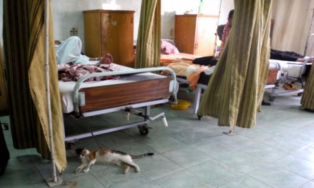 صحة القليوبية : إقالة  مدير مستشفى بشبرا الخيمة لإهماله فى العمل
