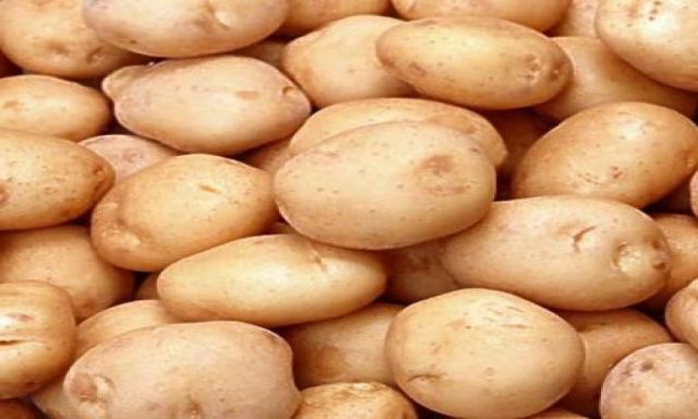 62 ألف طن .. قيمة الصادرات المصرية من البطاطس