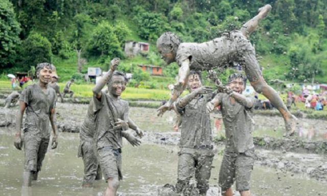 شاهد طريقة اللعب في حقول زراعة الأرز في نيبال
