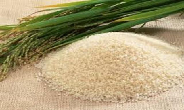 بعد ارتفاع سعره لـ 9جنيهات.. الغرفة التجارية تحظر تصدير الأرز نهائيًا