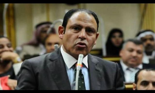برلماني: ينبغى على وزارة الخارجية أن تستغل علاقاتها بالدول الأخرى لجذب استثمارات جديدة تساعد فى انتشال مصر من التعثر الاقتصادى
