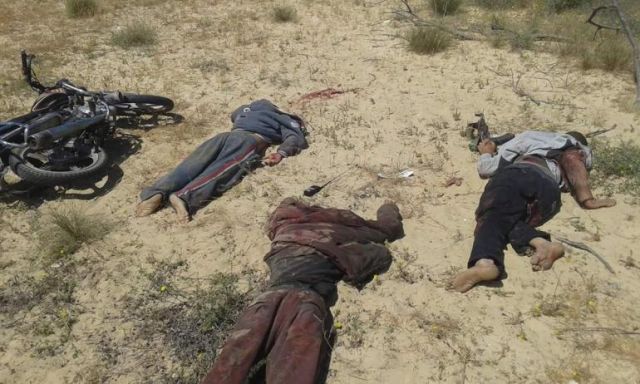 مقتل 8 عناصر إرهابية خلال مداهمات أمنية جنوب رفح