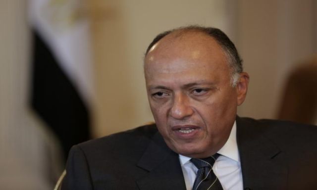 سامح شكري يستقبل وفد ”الشئون الخارجية المصري والسوداني”