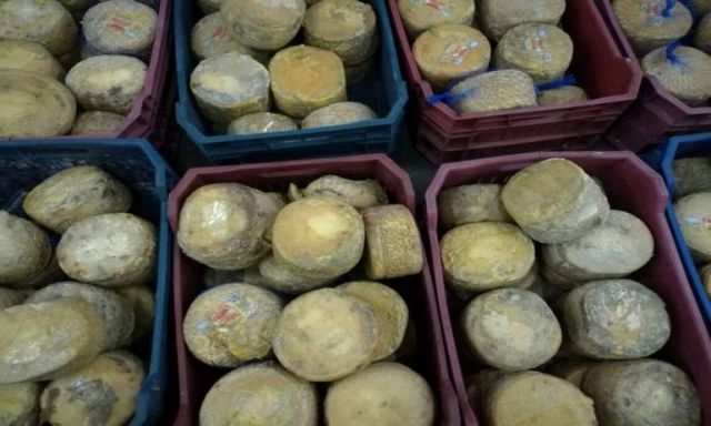بالصور.. ضبط كمية كبيرة من الجبنة الرومي الفاسدة بمصنع فى مدينة دمياط الجديدة