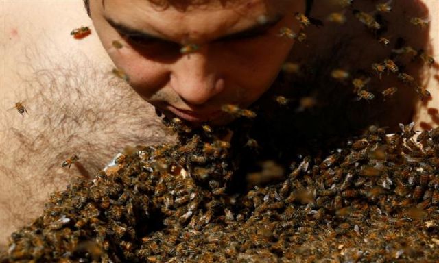 ننشر سر ”لحية النحل” التى أثارت الجدل على مواقع التواصل الاجتماعي