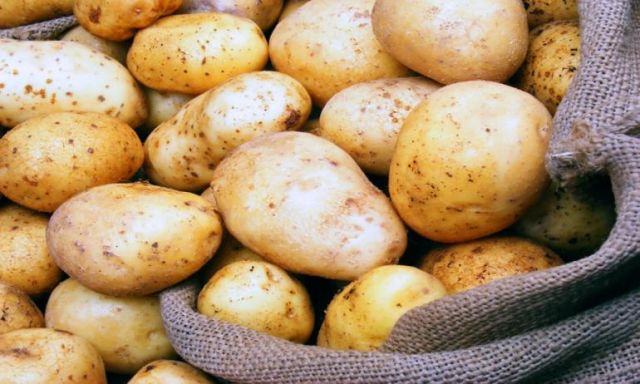 سلامة الغذاء تخفف الحظر على واردات البطاطس المصرية منتصف الشهر الجارى