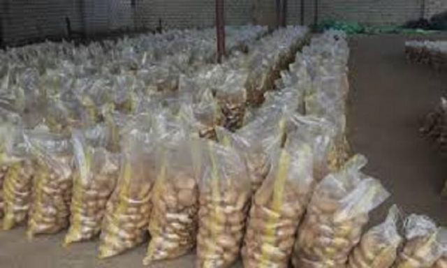 الزراعة: قرار روسيا بتخفيف الحظر على البطاطس يؤكد سلامة منتجاتنا