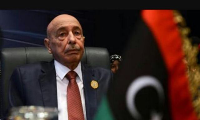 رئيس مجلس النواب الليبي يوجه دعوة إلى مسئولي وزارة الدفاع الروسية لزيارة بلاده