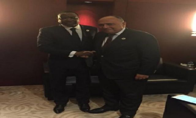سامح شكري  يلتقي وزير خارجية السنغال بأديس أبابا