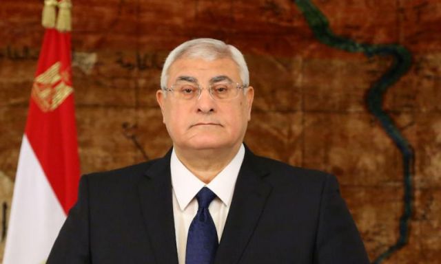 رئيس المحكمة الدستورية:المستشار عدلي منصور تردد في قبول منصب الرئيس