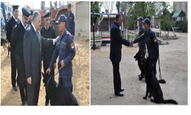 شاهد بالصور .. رئيس أكاديمية الشرطة يتفقد وحدات إدارة  تدريب كلاب الأمن والحراسـة