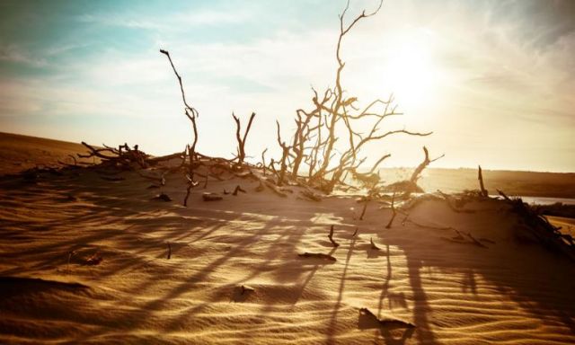 انعقاد اللقاء الإقليمي الثامن حول التغيرات المناخية وتأثيرها على السواحل في المنطقة العربية