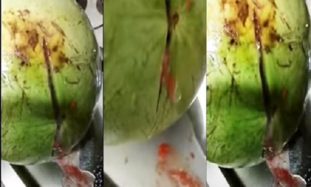ننشر فيديو يرصد مشهداً غريباً لبطيخة تفور بسبب حقنها بمواد غريبة
