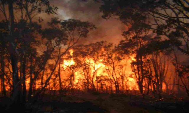 السلطات البرتغالية..الدفع بعناصر إضافية من الحماية المدنية للسيطرة على حرائق الغابات