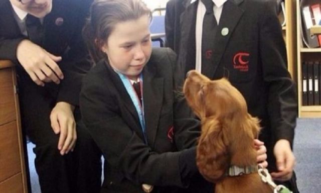 تعيين كلب في مدرسة بريطانية للتخفيف من ضغط الامتحانات علي الطلبة
