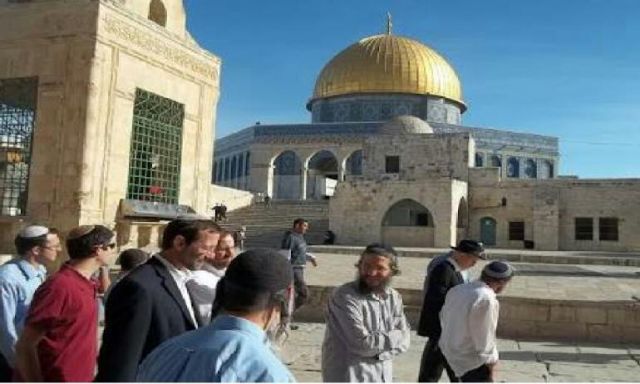1400. مستوطن إسرائيلي يقتحمون ساحة المسجد الأقصى تحت حراسة الشرطة