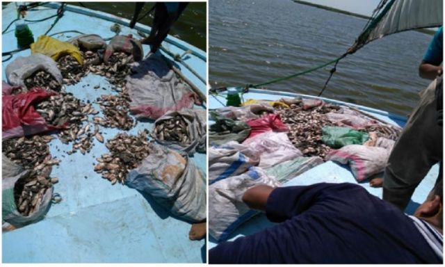 بالصور والأرقام .. نتائج حملات أجهزة أمن كفرالشيخ لإزالة التعديات على مجرى نهر النيل