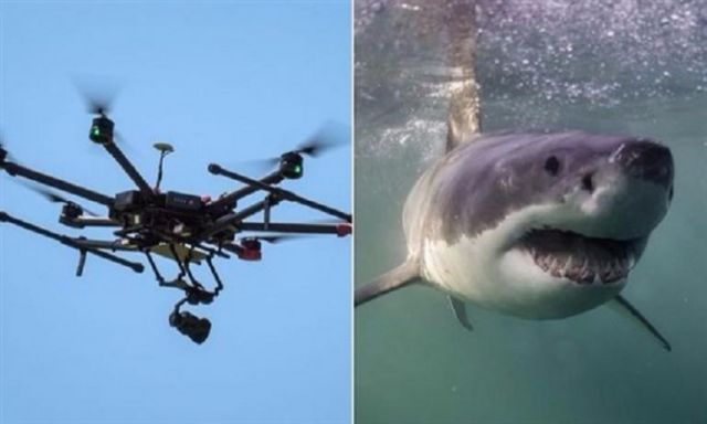 سرب من طائرات بدون طيار لحماية زوار الشواطئ من أسماك القرش