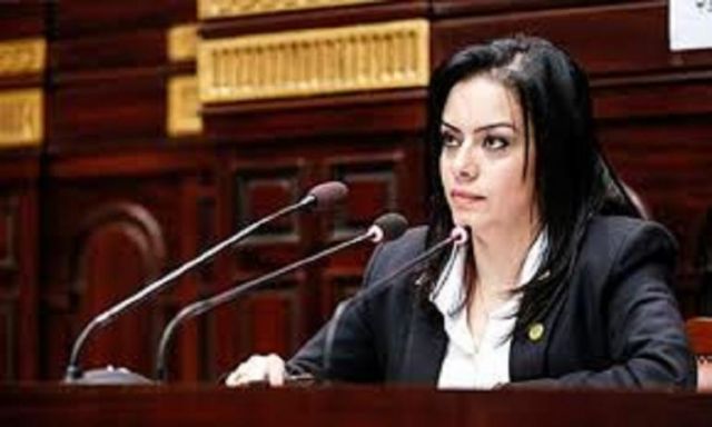 سيلفيا نبيل: لجنة الخطة والموازنة بالبرلمان تتابع تنفيذ الوزارات لرؤية مصر 2030