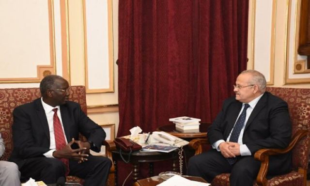 بالصور .. رئيس جامعة القاهرة يلتقي سفير دولة جنوب السودان بالقاهرة