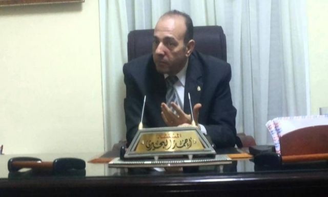 البحيري: وقفة مصر الشجاعة والقوية أمام واشنطن في مجلس الأمن انتصار للقضية الفلسطينية