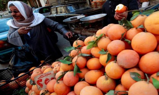 وزارة الزراعة الأمريكية تتوقع أن تصبح مصر أكبر دولة مصدرة للبرتقال