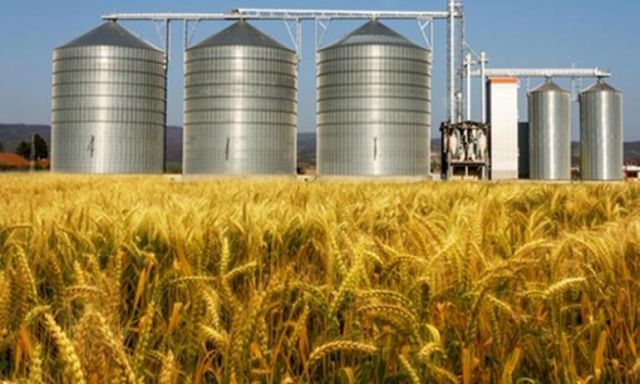 وزير التموين : الحكومة تحدد سعر شراء محصول القمح من الفلاح منتصف مارس المقبل