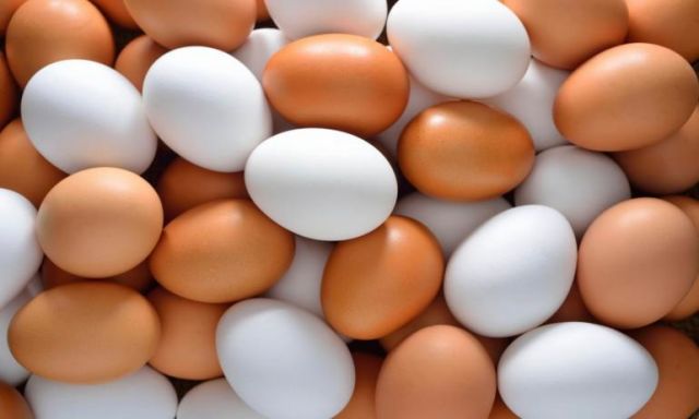 ننشر أسعار البيض بالأسواق اليوم