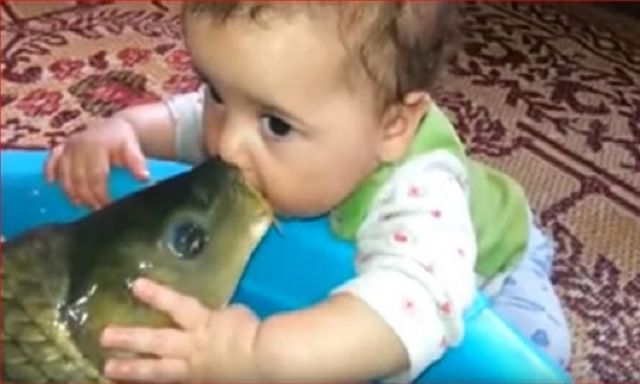 شاهد .. الطفل الرضيع الذى أشعل مواقع التواصل الاجتماعى بسبب سمكة