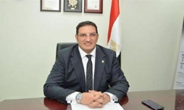 ”جنيدى” :  قطاع الطاقة من أكبر القطاعات المحفزة للاستثمار فى مصر