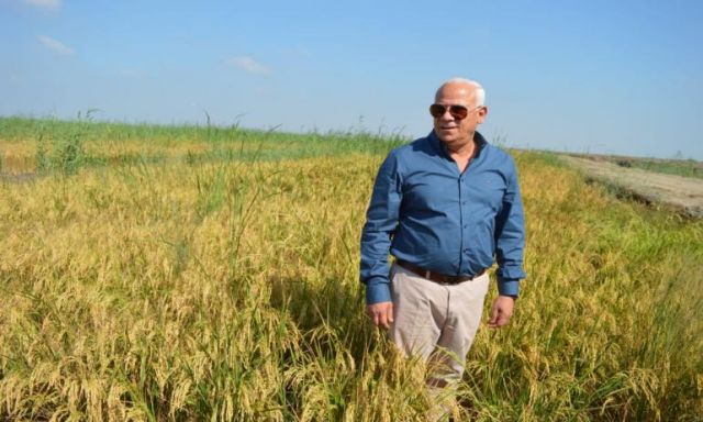 ”الغضبان” يشهد بدء حصاد محصول الأرز ببورسعيد