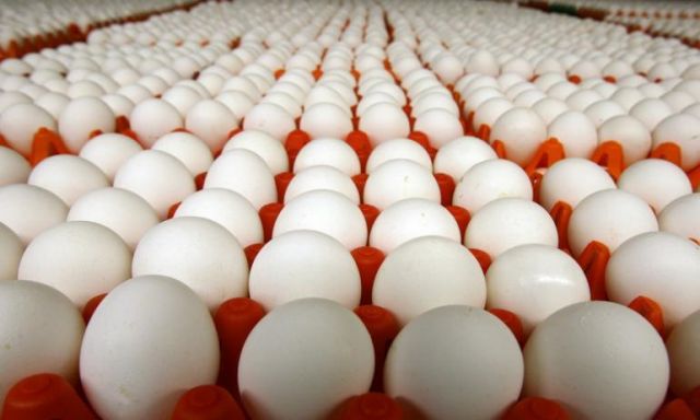 استقرار أسعار البيض عند معدلات أمس