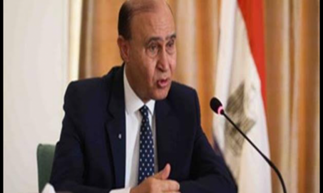 مميش يستقبل وفد شباب مصريين بالخارج ويشيد بجهود وزيرة الهجرة