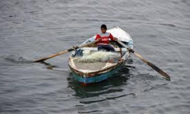 تعرف على أسباب وقف الزراعة صيد الأسماك بالبحر الأحمر لمدة 7 أشهر