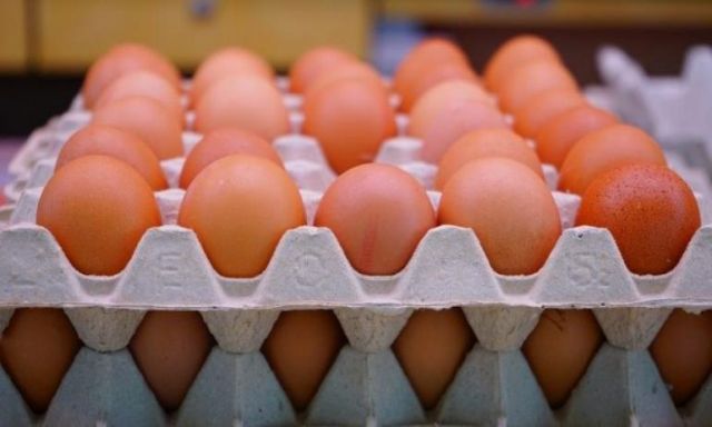 الزراعة: تصدير بيض المائدة إلى دولة البحرين للمرة الثانية