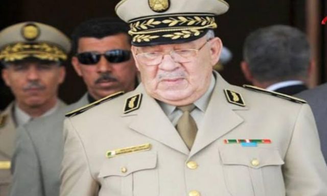 نائب وزير الدفاع الجزائري: هناك أطرافا تريد تلغيم المسيرات بتصرفات عدائية ضد الوطن