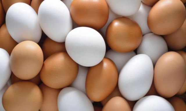 أسعار البيض ثابتة عند 30 و 32 جنيها للكرتونة