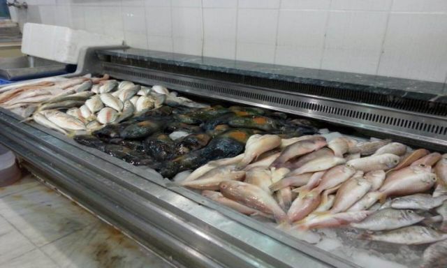 استقرار فى أسعار الأسماك بأسواق الجملة بالعبور